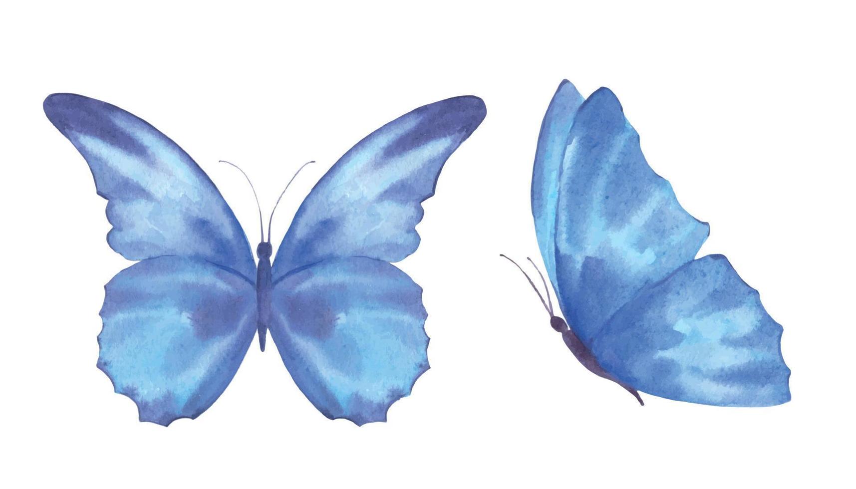 Watercolor vector illustration, delicate cute blue butterflies, isolated on a white background.