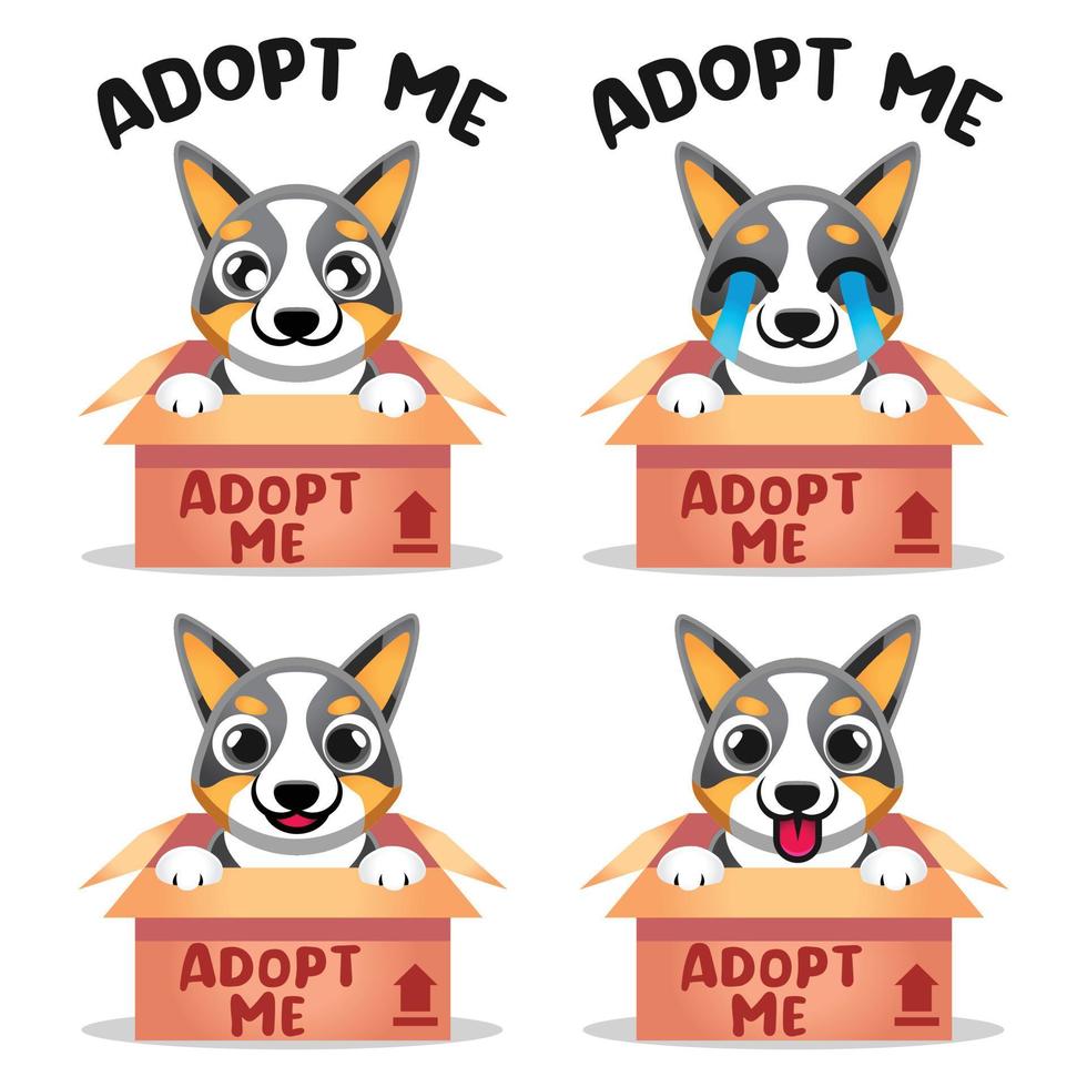 Cute Kawaii dog puppy tricolor pembroke welsh corgi adoption Mascot Cartoon Design Illustration Character vector art isolated on white background.