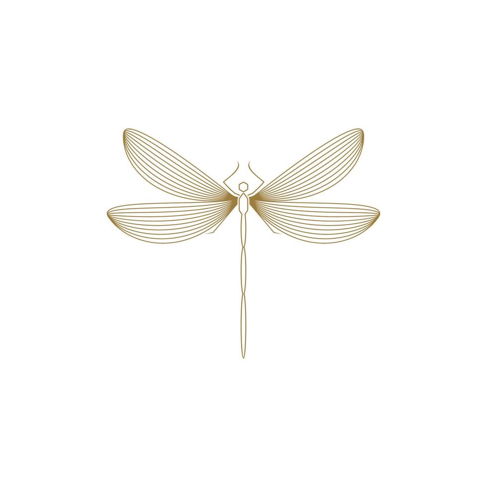 Minimalist Elegant Dragonfly Line Art logo Design Gold Color vector
