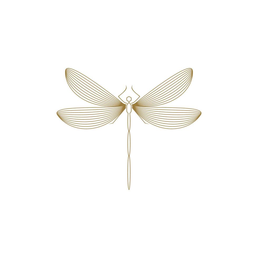 Minimalist Elegant Dragonfly Line Art logo Design Gold Color vector