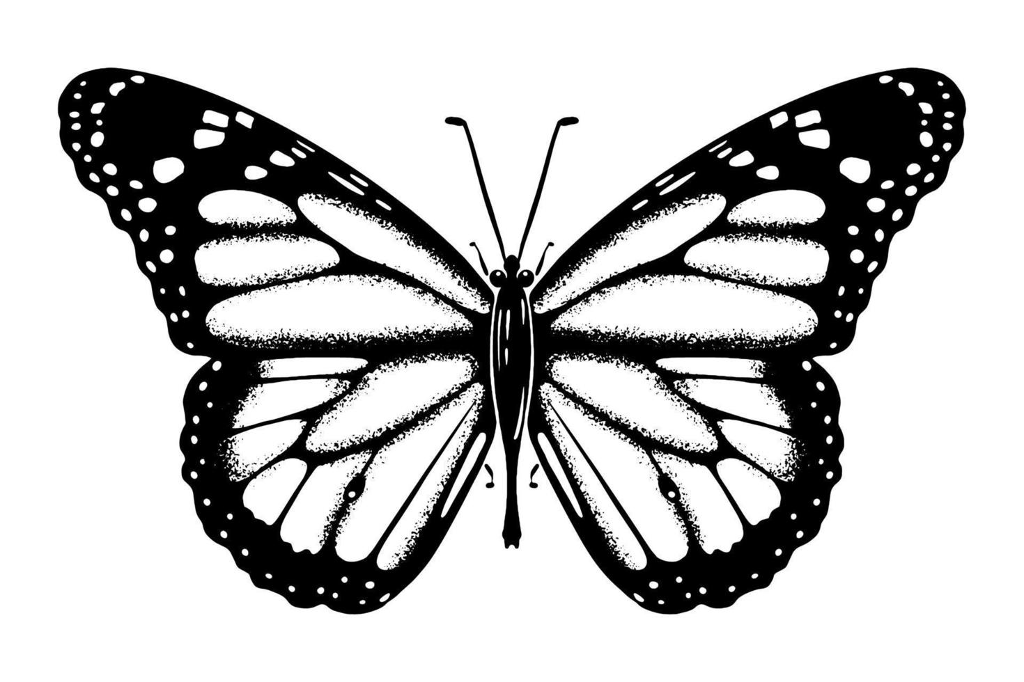 Butterfly sketch drawing drawn by hand with ink. Insect silhouette. Isolated on white background. Vector. vector