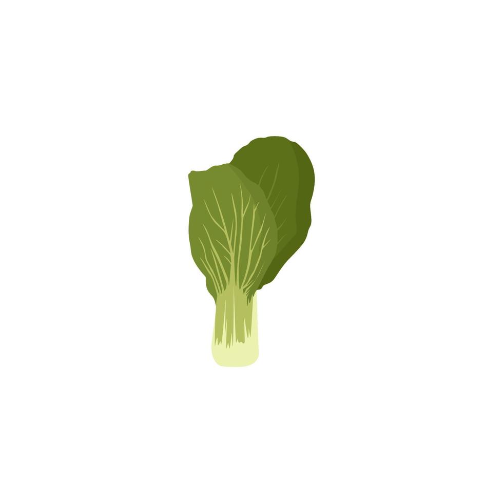 A pair of carrots with green stalks on a white background. vector