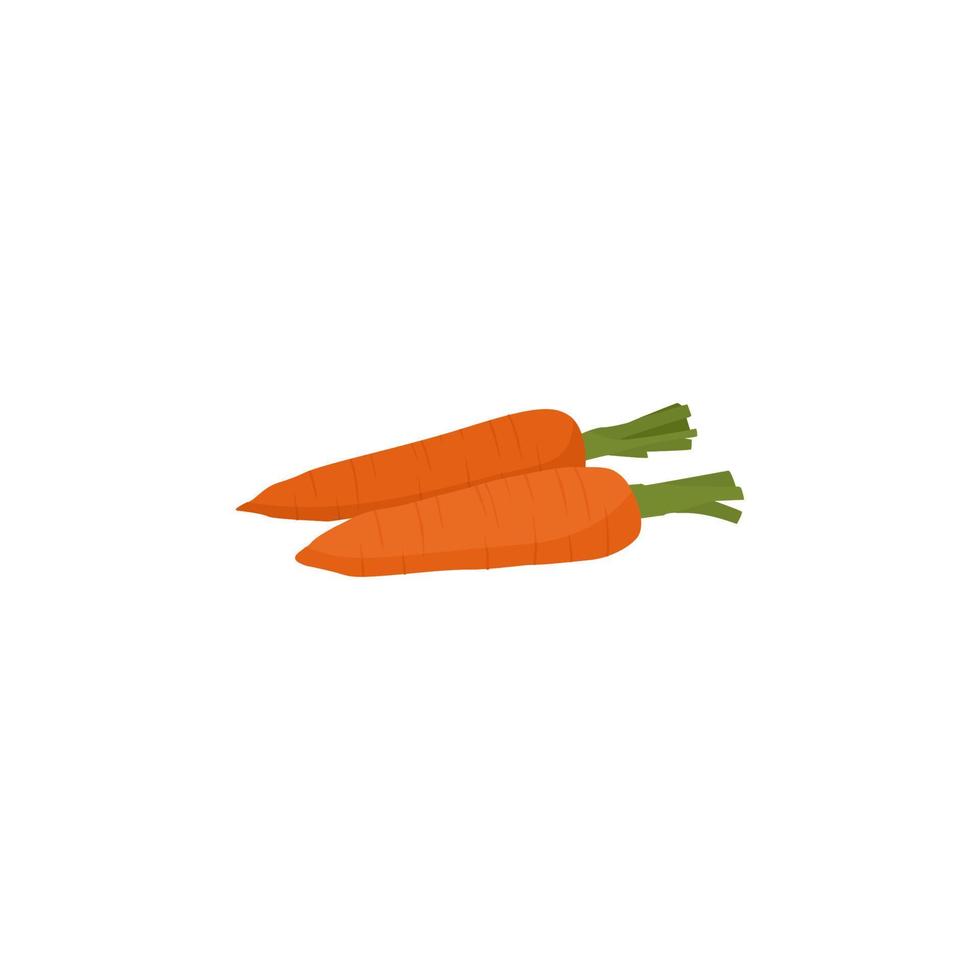 A pair of carrots with green stalks on a white background. vector