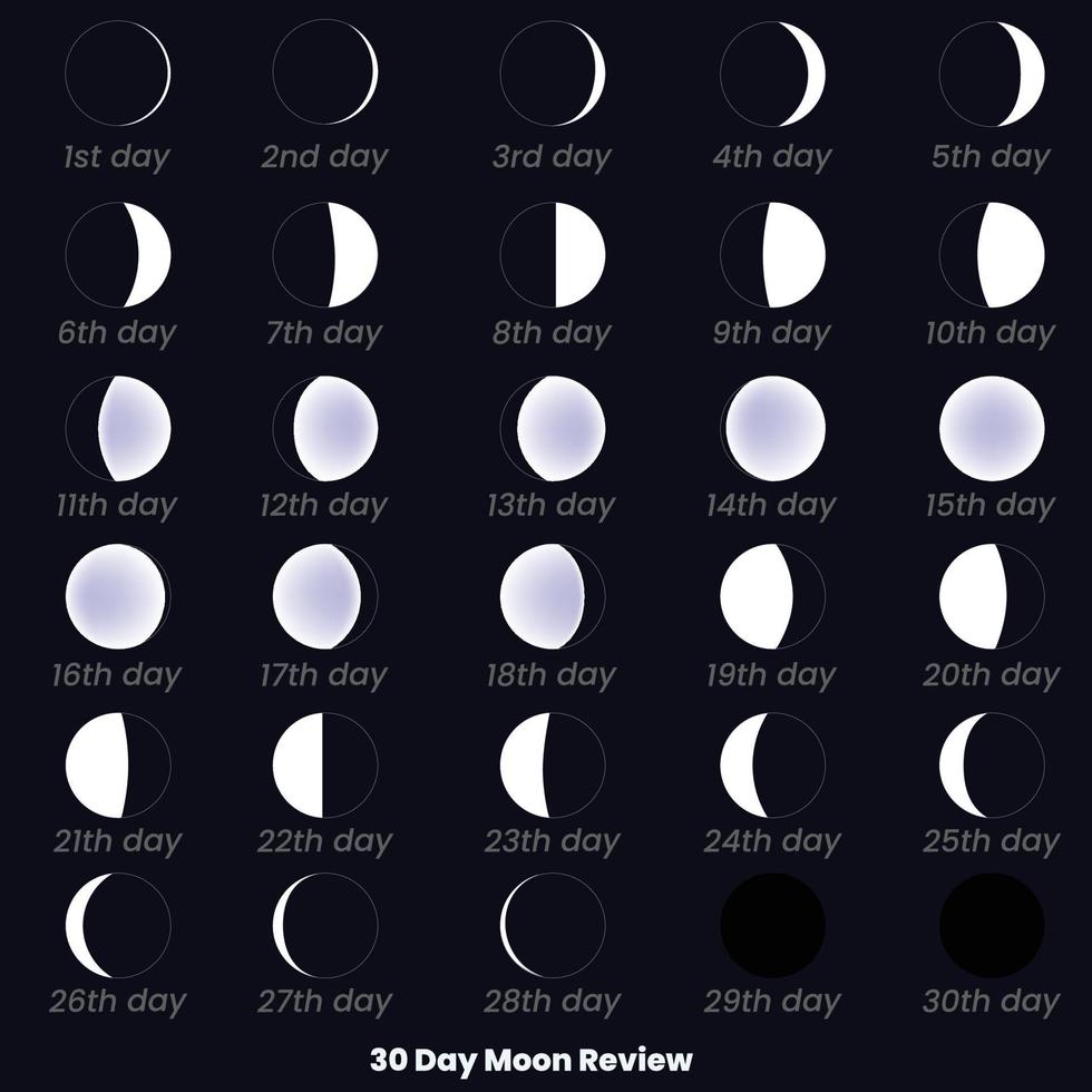 Luna etapas. 30 día Luna revisar. Luna etapas astronomía icono colocar, vector ilustración. aislado contorno simbolos oscuro Armada azul antecedentes.