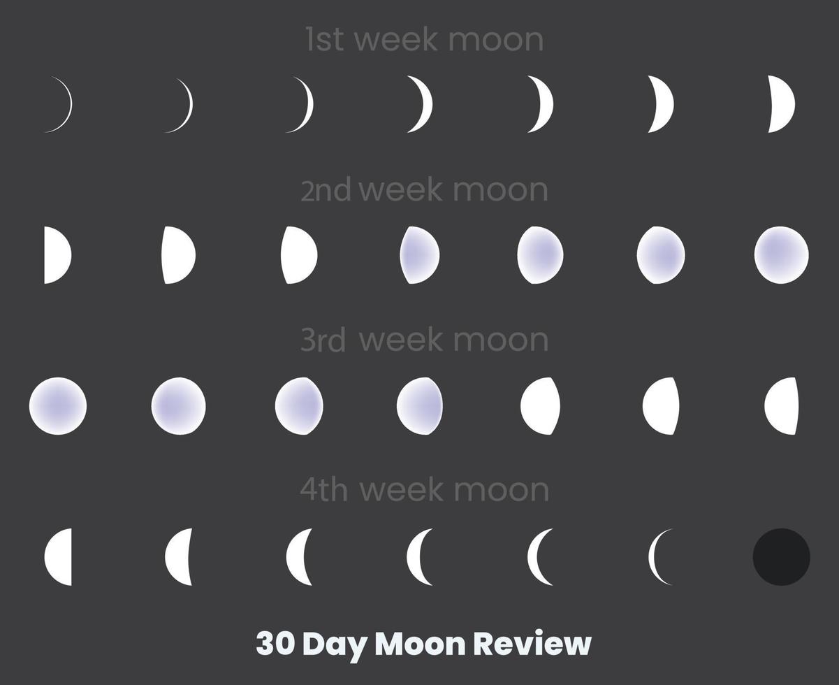 Moon Cycle With Days