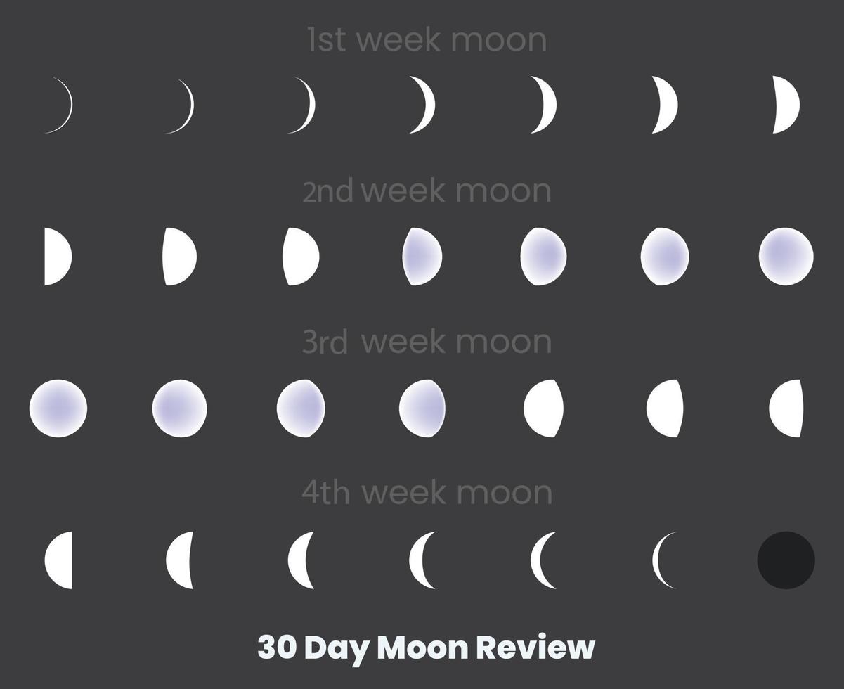 Moon phases. 30 Day Moon Review. Moon phases astronomy icon set, Vector Illustration. Isolated outline symbols. Dark navy blue background.