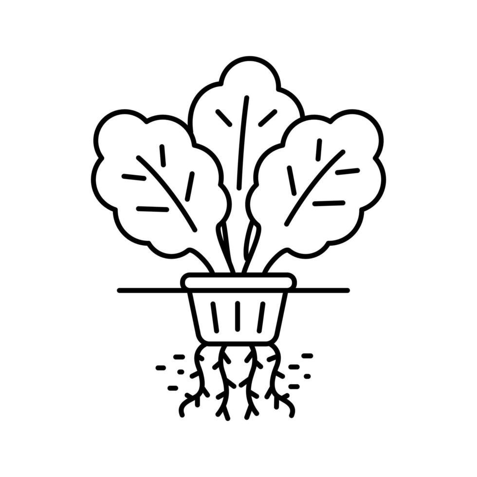 Hydroponic plant icon in linear style vector