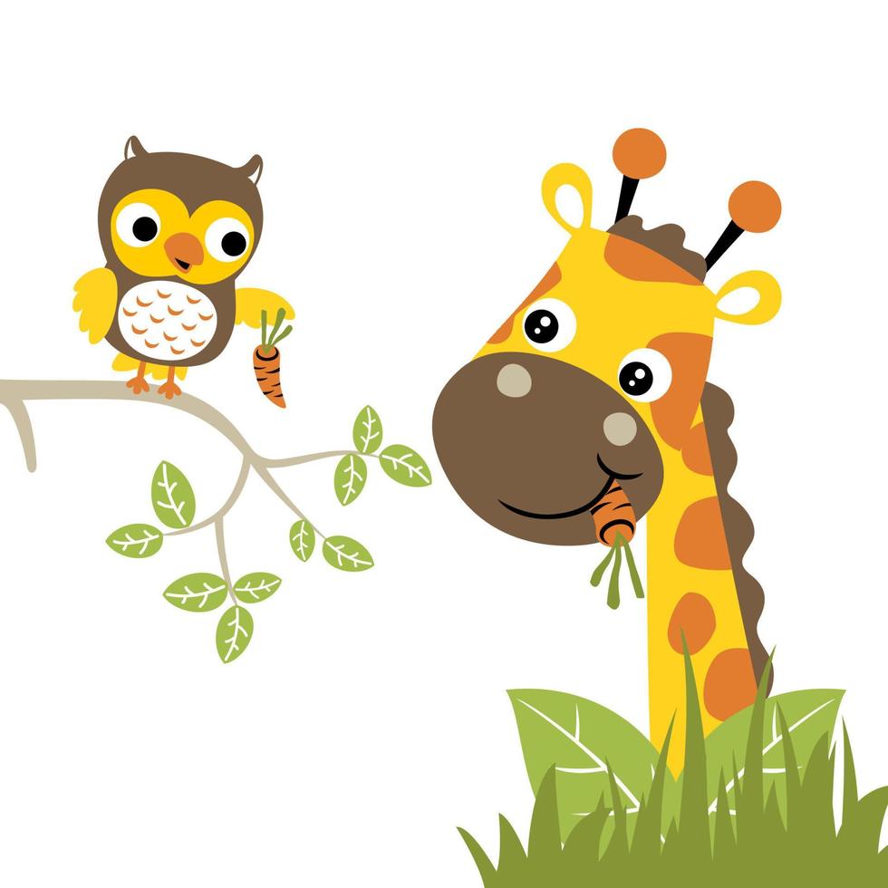 Nice giraffe eating carrot with owl holding carrot on tree branches, vector cartoon illustration