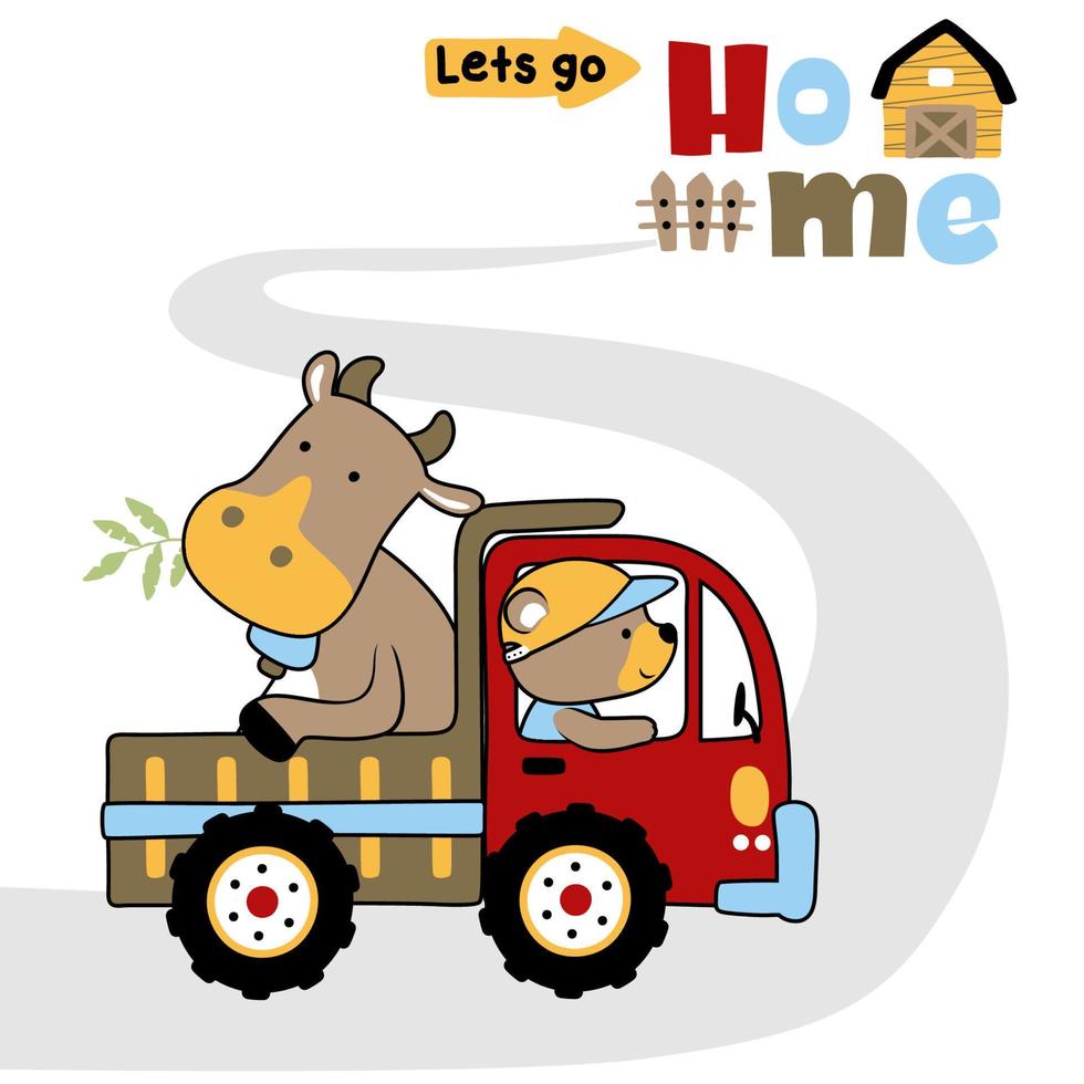 Cute bear driving truck with a bull going to barn, vector cartoon illustration