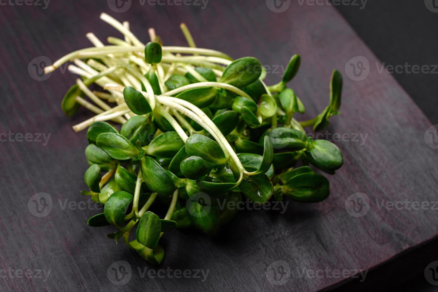 Fresh sprouts or sunflower microgreens on wooden cutting board photo