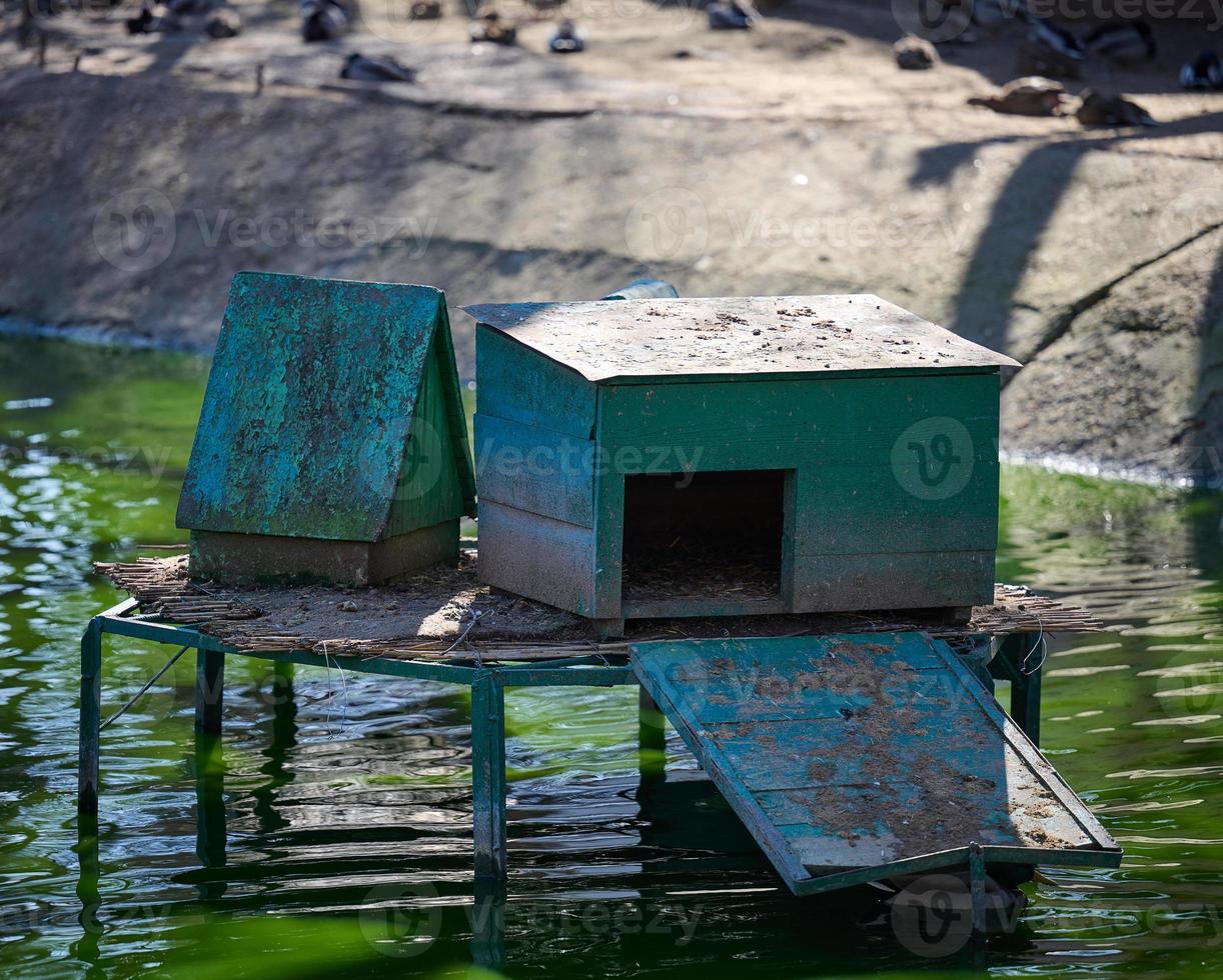 Wooden duck and goose house on the lake, spring day. photo