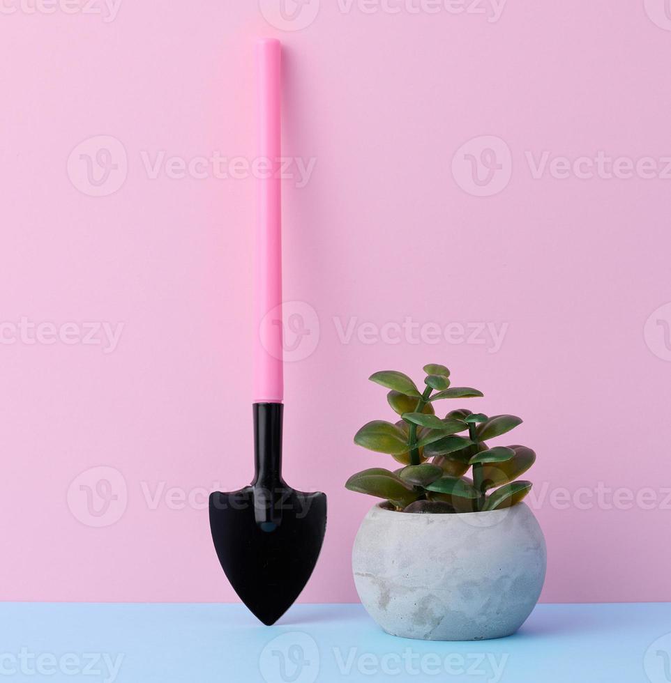 Miniature garden tools for transplanting plants, home hobby photo