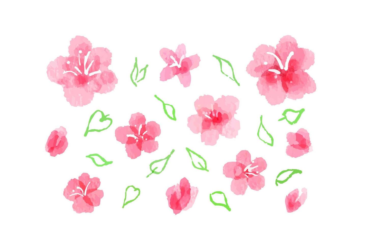 Watercolor images of sakura blossom. Abstract hand painted pink flowers, fully opened and buds, with leaves silhouettes. Collection of aquarelle feminine springtime design elements, isolated on white vector