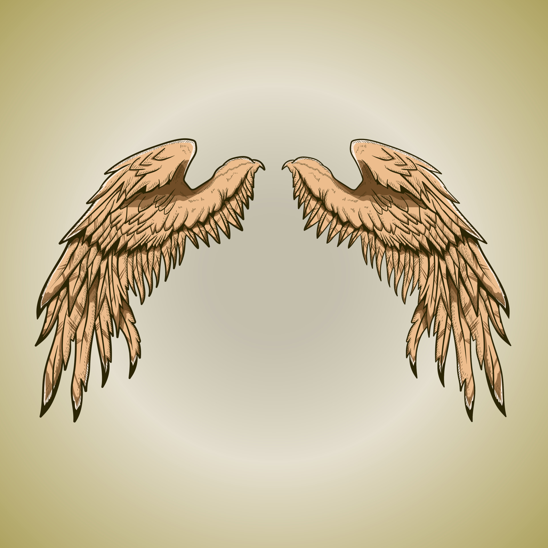 The Ultimate Guide To Bird Wing Interactions - q2k5m40