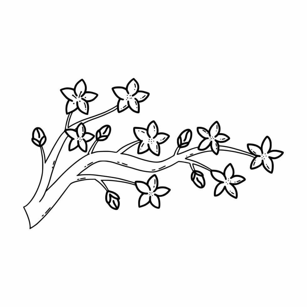 Sakura branch. Spring flower of Japan. Blossom. Vector doodle illustration. Postcard decor element.