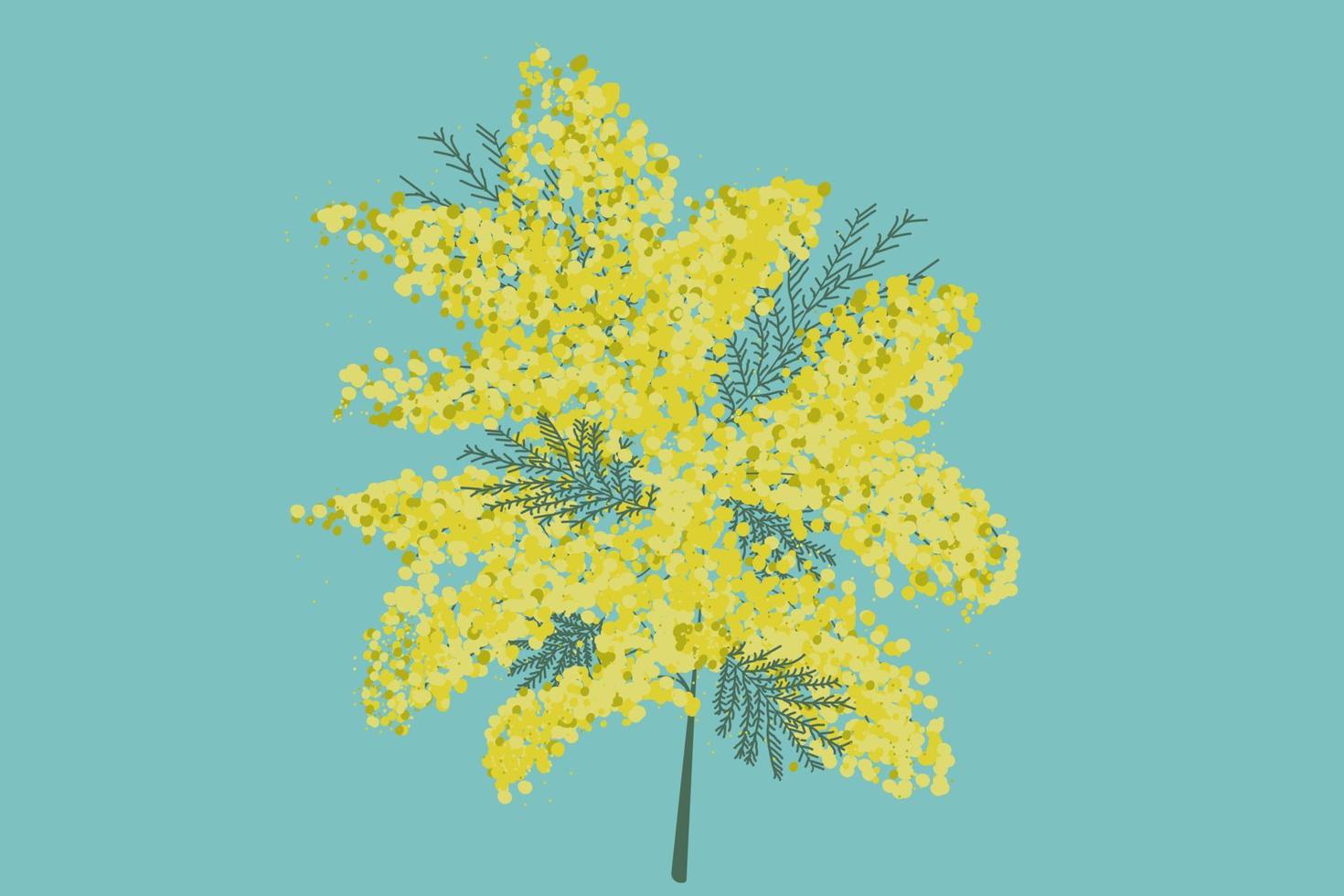 mimosa flor. Mimosas. mimosa rama. jardín y interior plantas vector