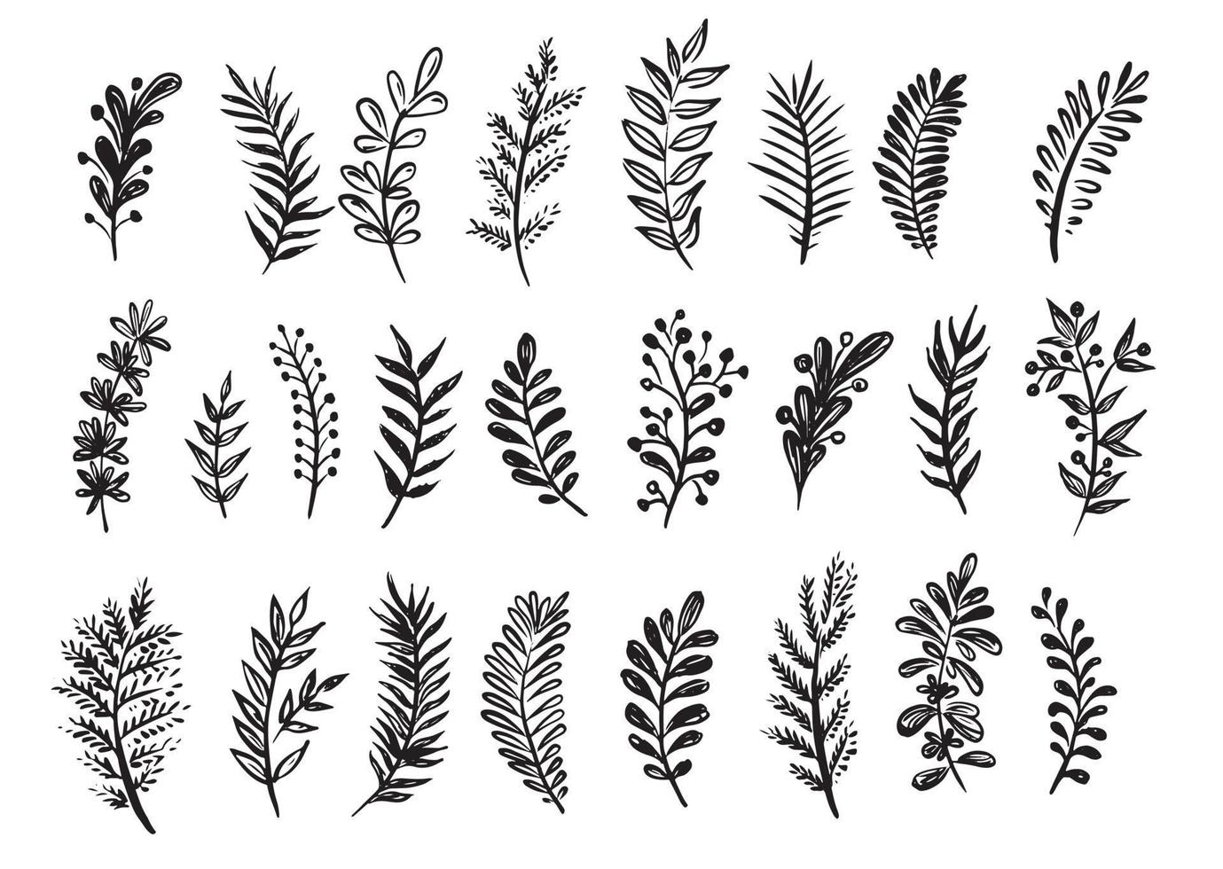 Branches collection hand drawn, vector. vector