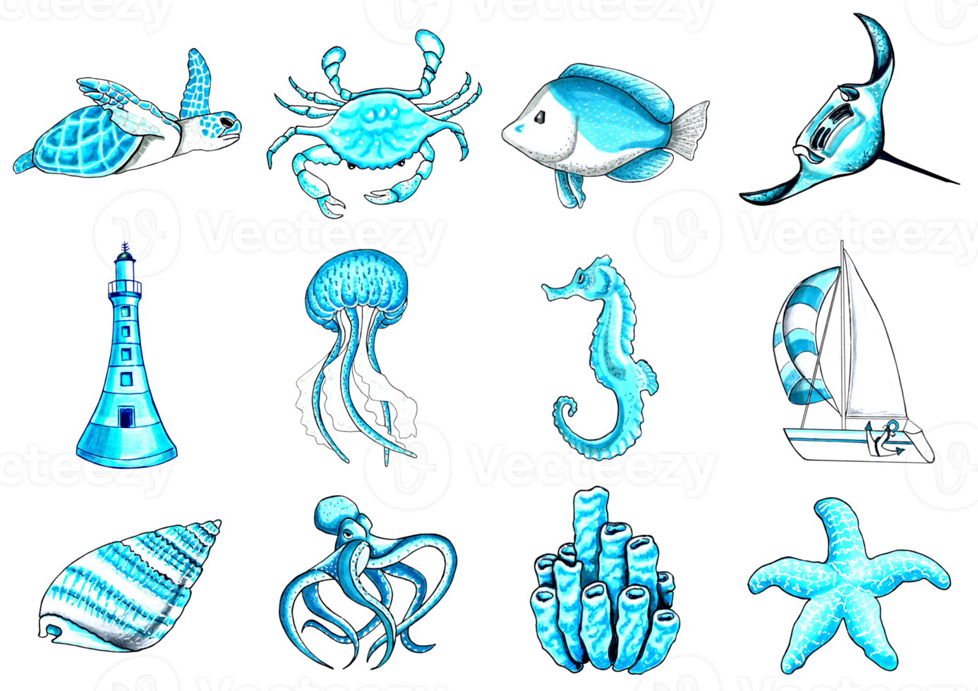 Marine set aqua color with underwater life. JPEG illustration marine animals. png