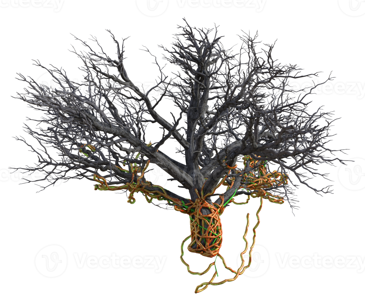 escalofriante árbol aislado, 3d hacer png