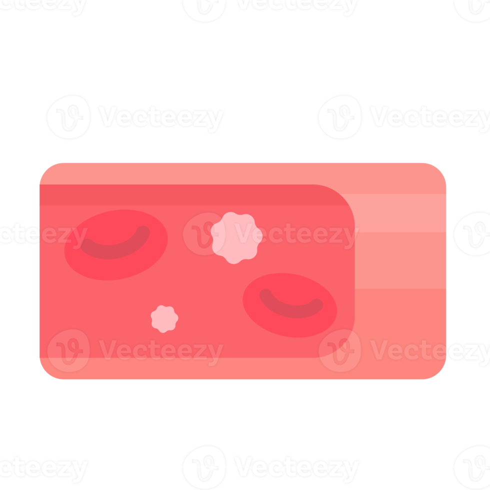 body blood vessels coronary arteries with platelets clogged by accumulated fat png