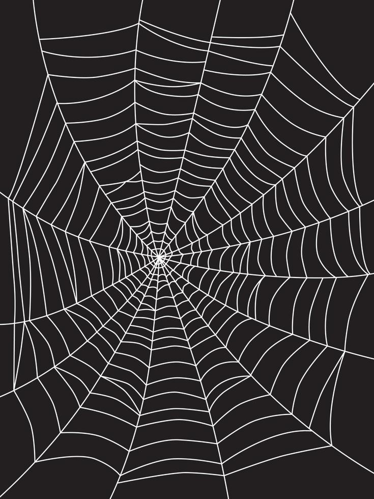 Spider web drawing on a black background vector