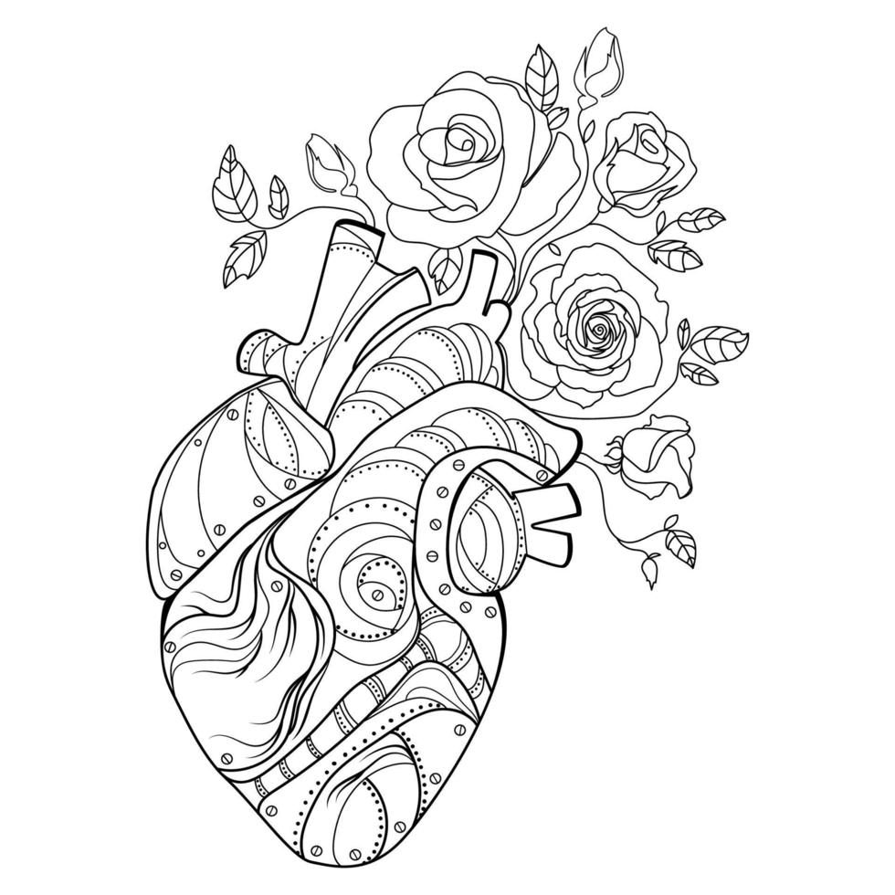 Anatomical human heart with flowers roses Line drawing vector illustration.Mechanical human heart organ with flowers growing from it,sketch drawing suyurealistic design for print,emblem,tattoo idea