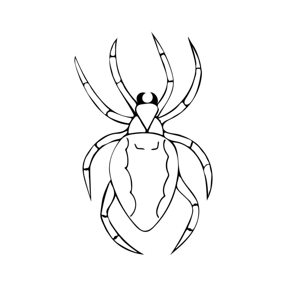 Vector illustration of hand-drawn dark spider. Doodle style vector illustration