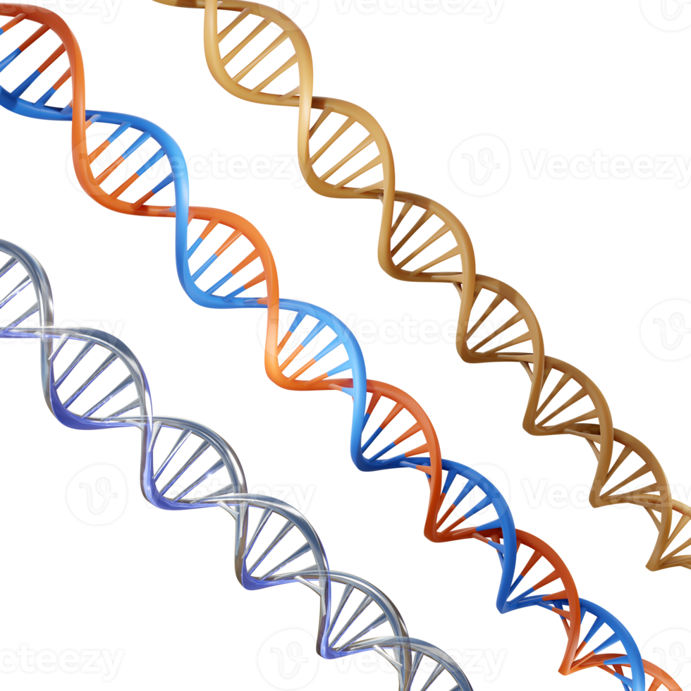 3d interpretazione multiplo illustrazione dna desossiribonucleico acido prospettiva Visualizza angolo png