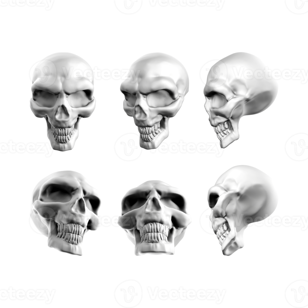 3d rendering of fantasy skull skeleton head from various perspectives view png