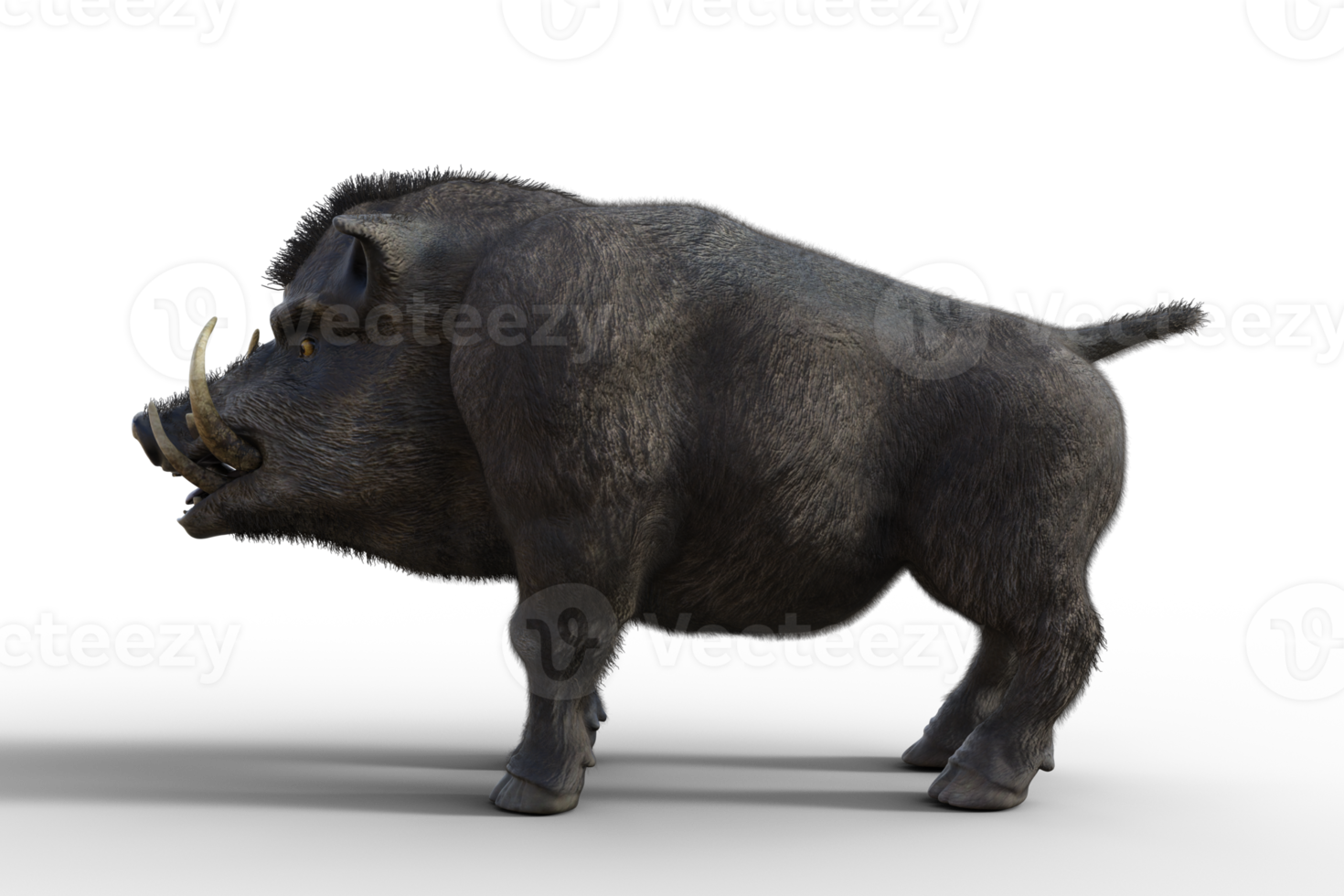 Boar isolated. 3d render png