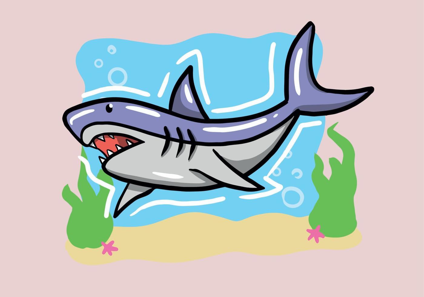 Hand drawn Shark isolated on background. Vector illustration of aquatic animals.