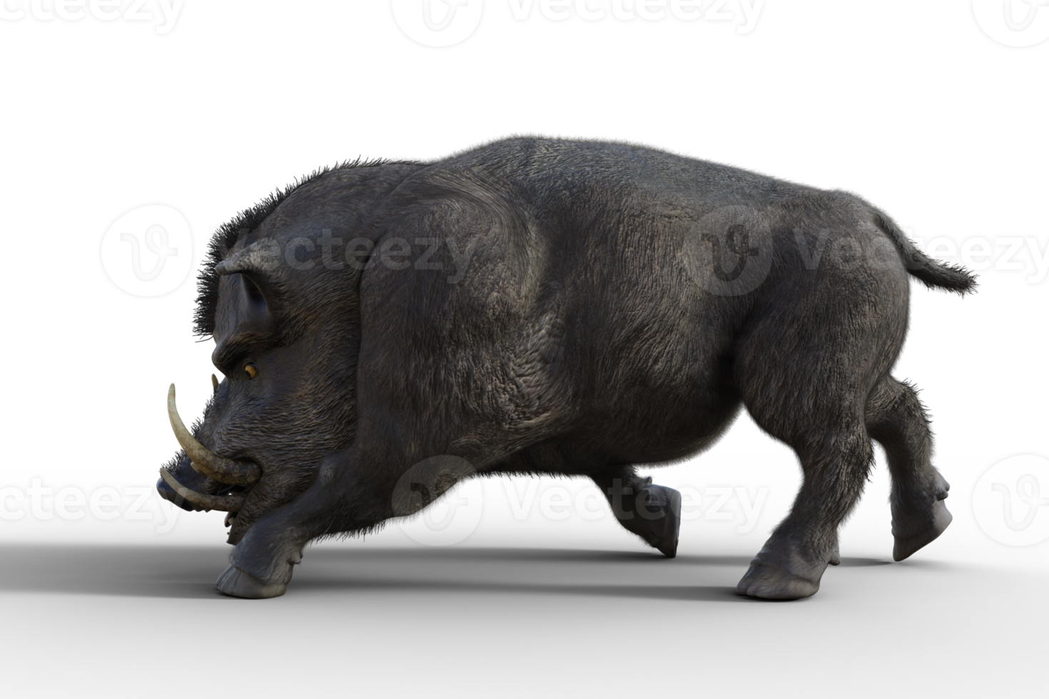 Boar isolated. 3d render png