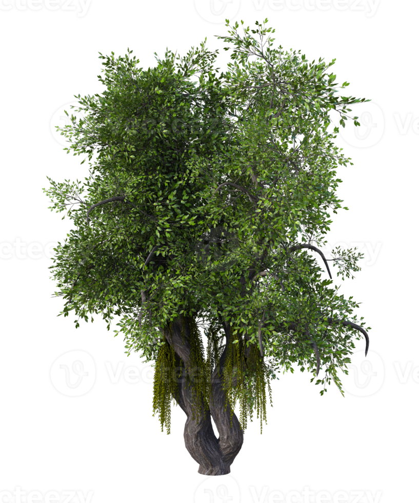 fantástico árbol aislado. 3d hacer png