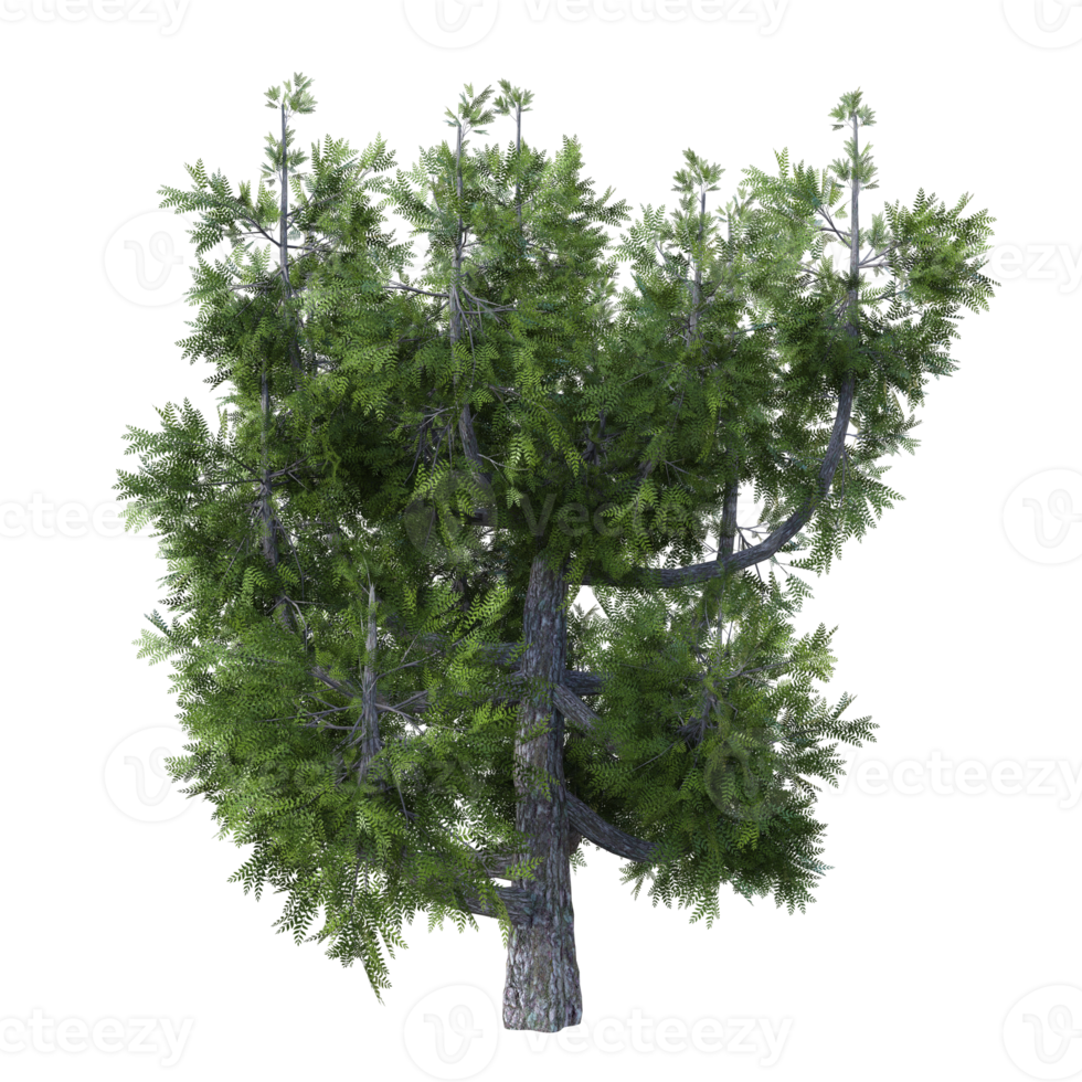 Fantastisch Baum isoliert. 3d machen png