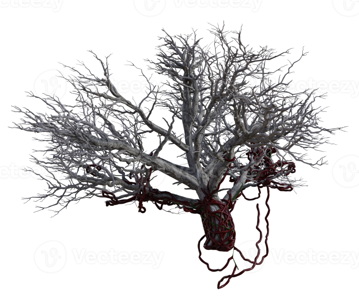 spaventoso albero isolato, 3d rendere png