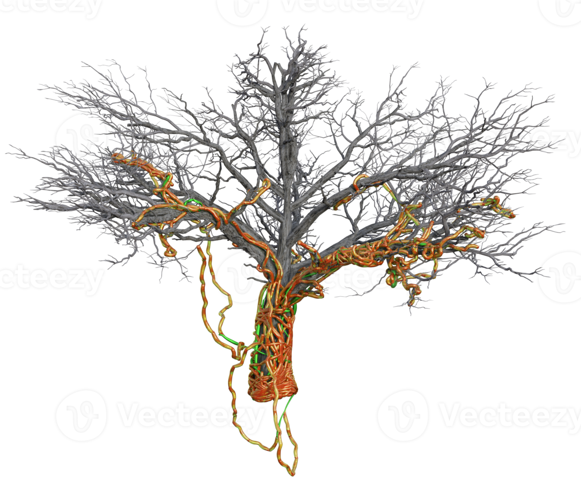 escalofriante árbol aislado, 3d hacer png