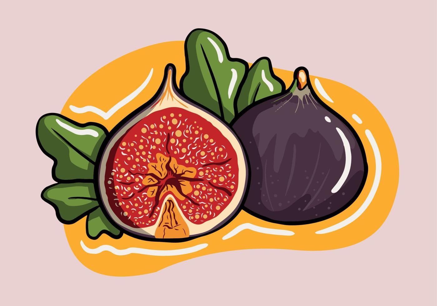 Hand drawn whole fig and half cut figs vector. Vector illustration of fresh slice figs isolated on background.