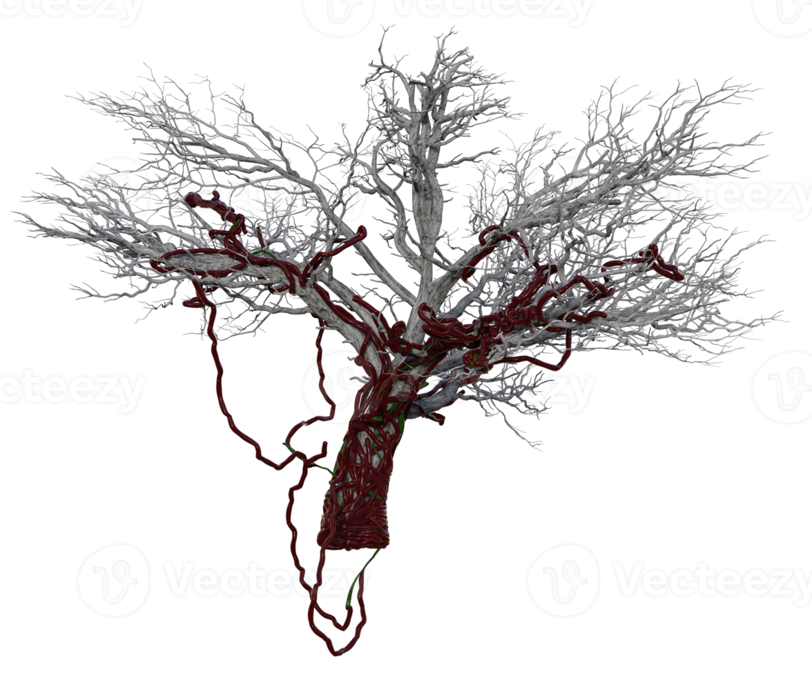 effrayant arbre isolé, 3d rendre png