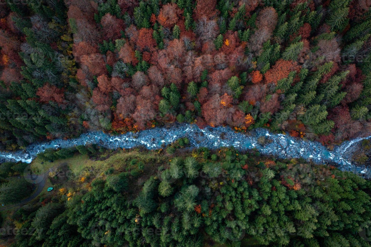 colorful conifers with a creek in autumn photographed from above photo