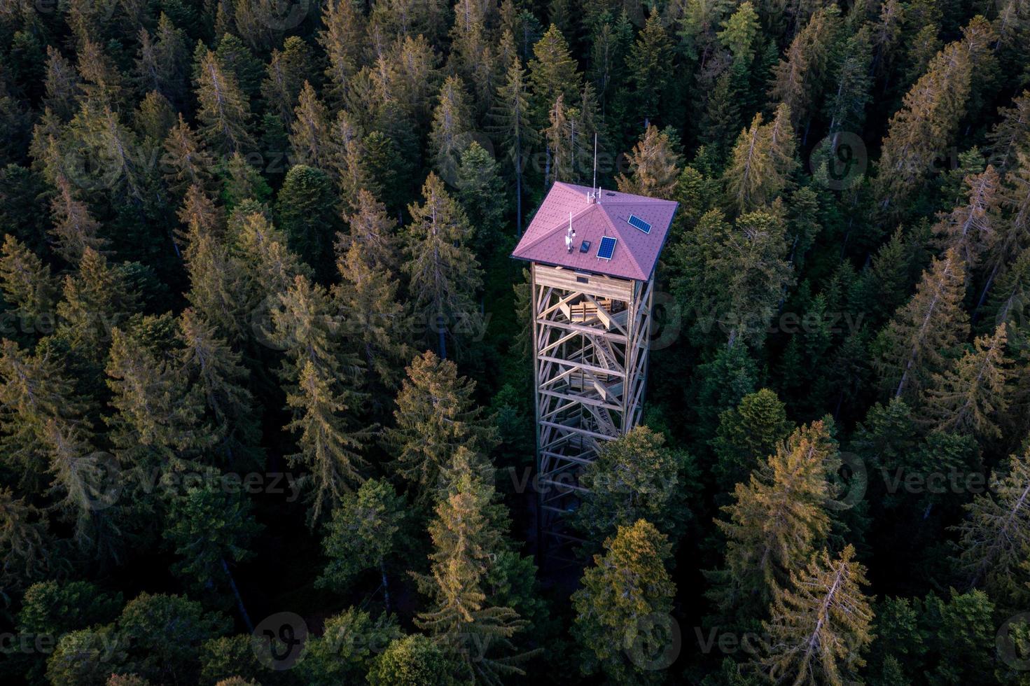 A lookout tower in the middle of the forest photo