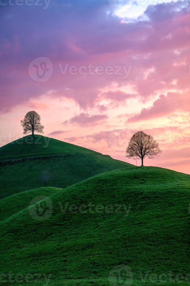 three trees on 3 hills under a purple sky photo