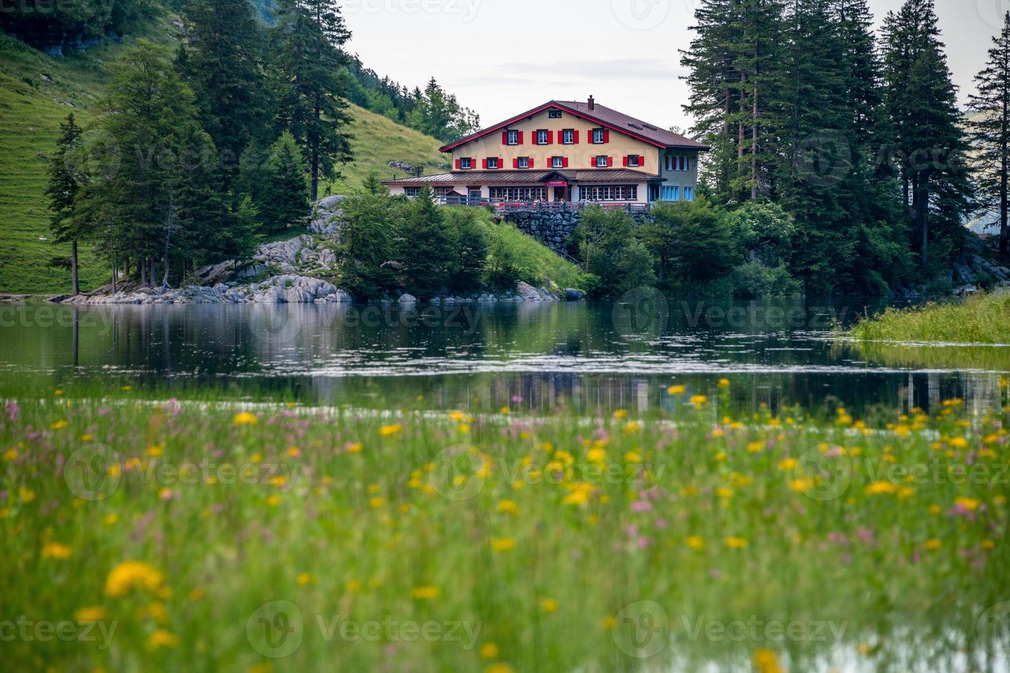 un Posada ese soportes por el lago foto