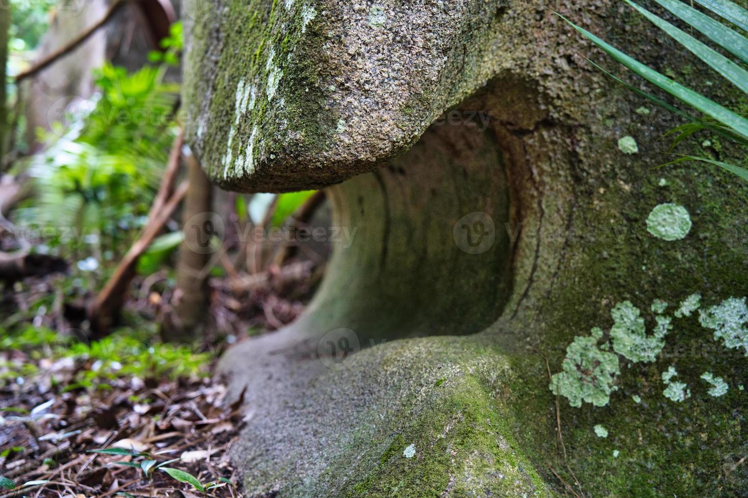 Glacis la reserve trail-Strange rock formation photo
