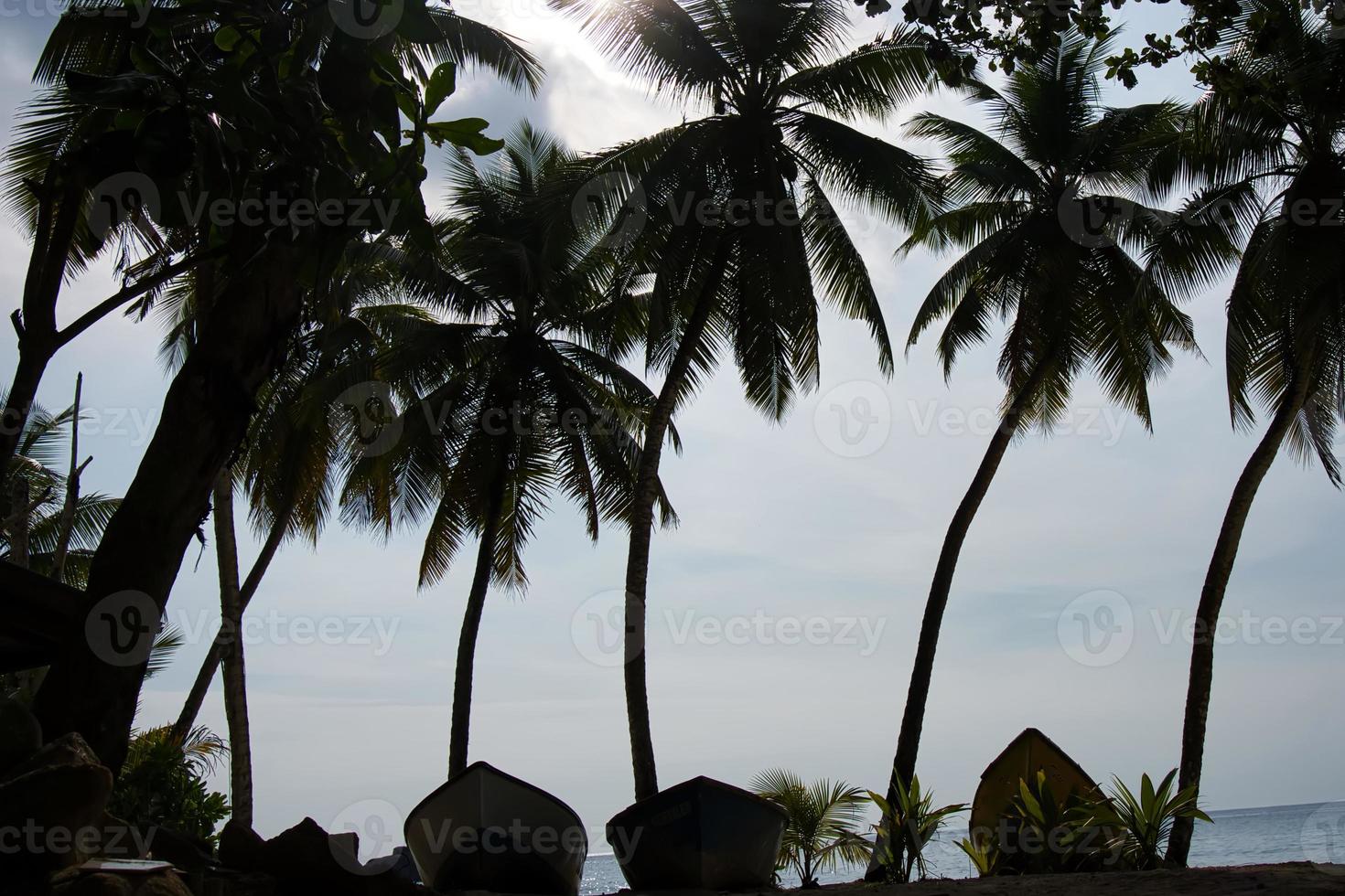 barcos debajo el Coco arboles a el takamaka playa en mahe isla, secyhelles foto