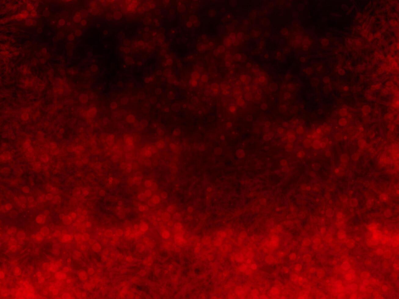 abstract background wallpaper photo