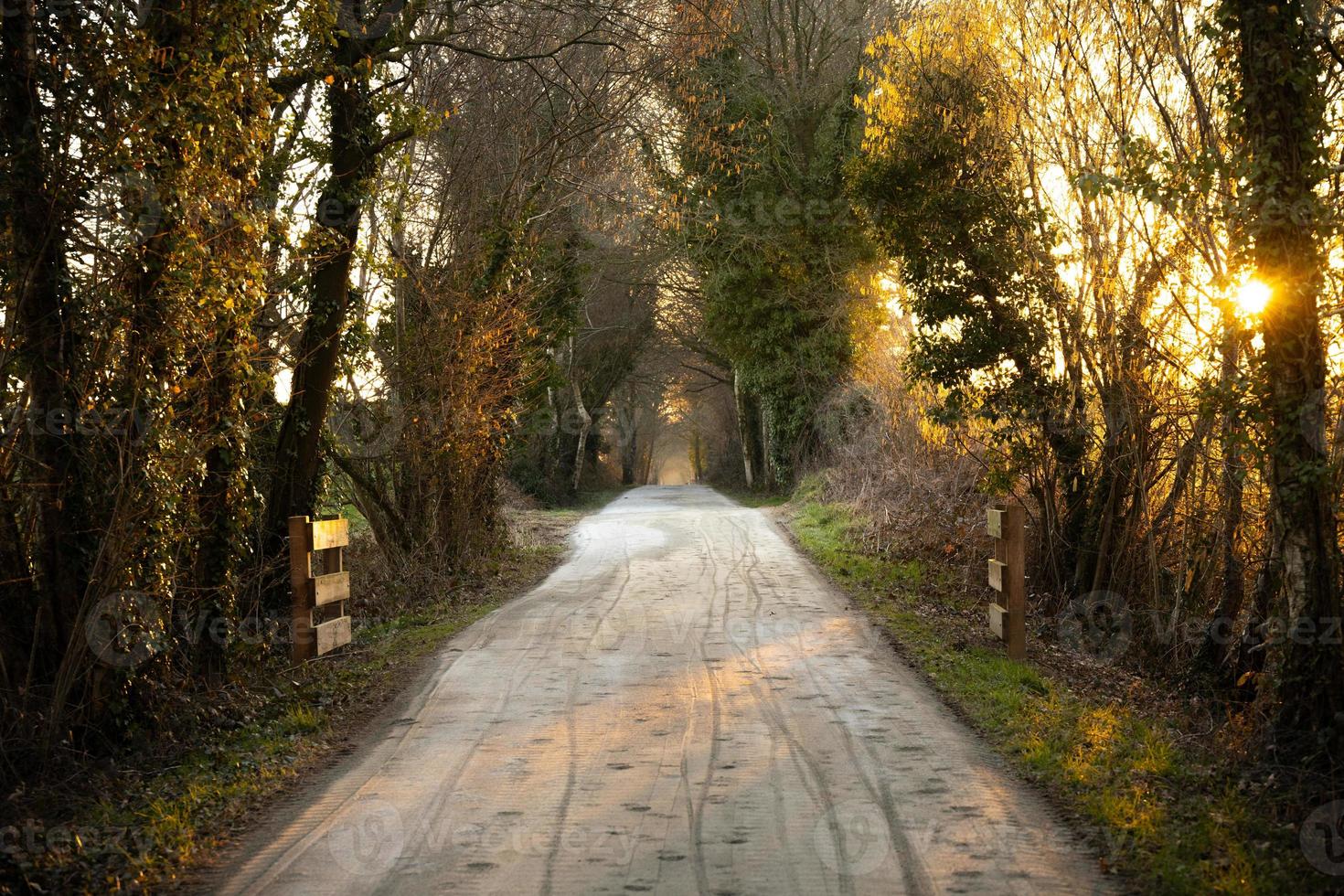 Spring sunny evening on a walking path in a park in France photo