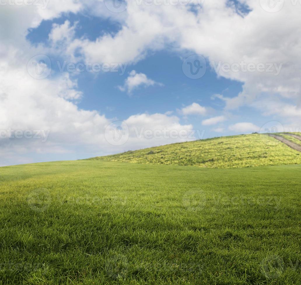 Field landscape view photo