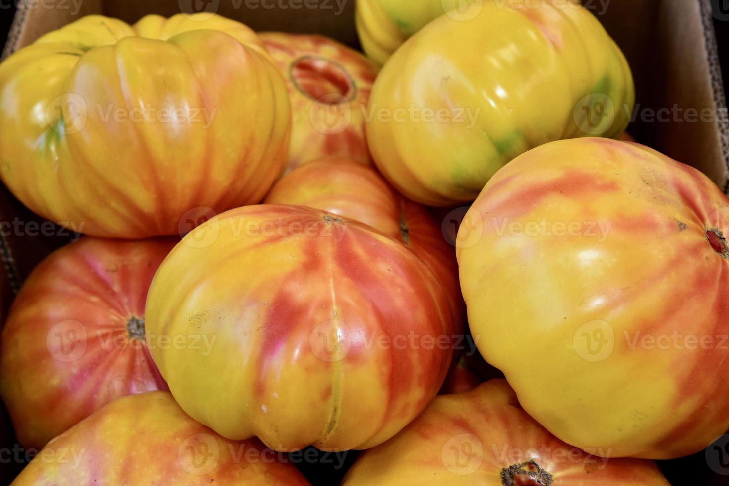Heirloom tomato Mr Stripey photo