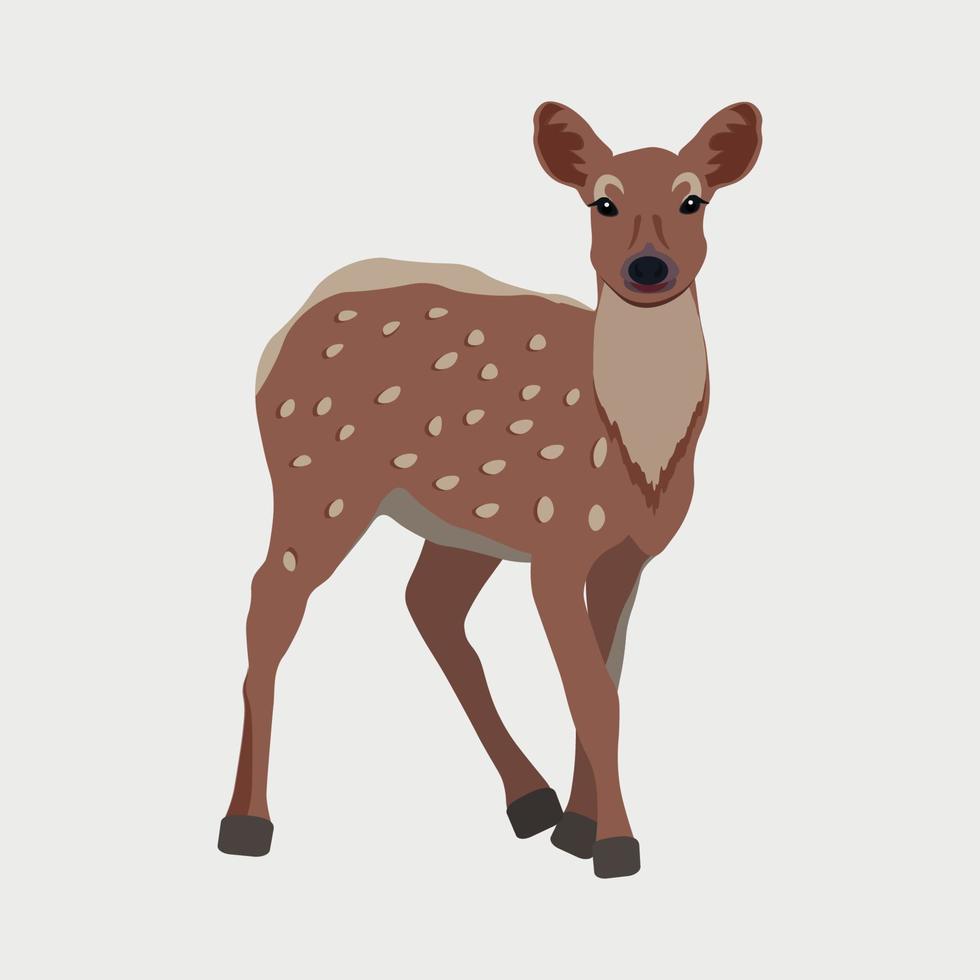 A beautiful spotted deer Bambi walks through the forest and enjoys the sun vector