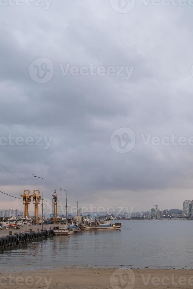 The afternoon at the fishing port photo